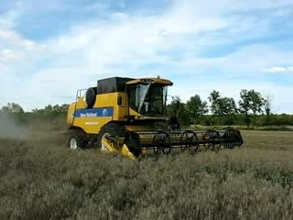La moisson en jaune