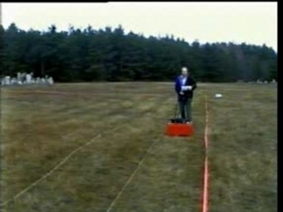 Hollyhoax Treblinka