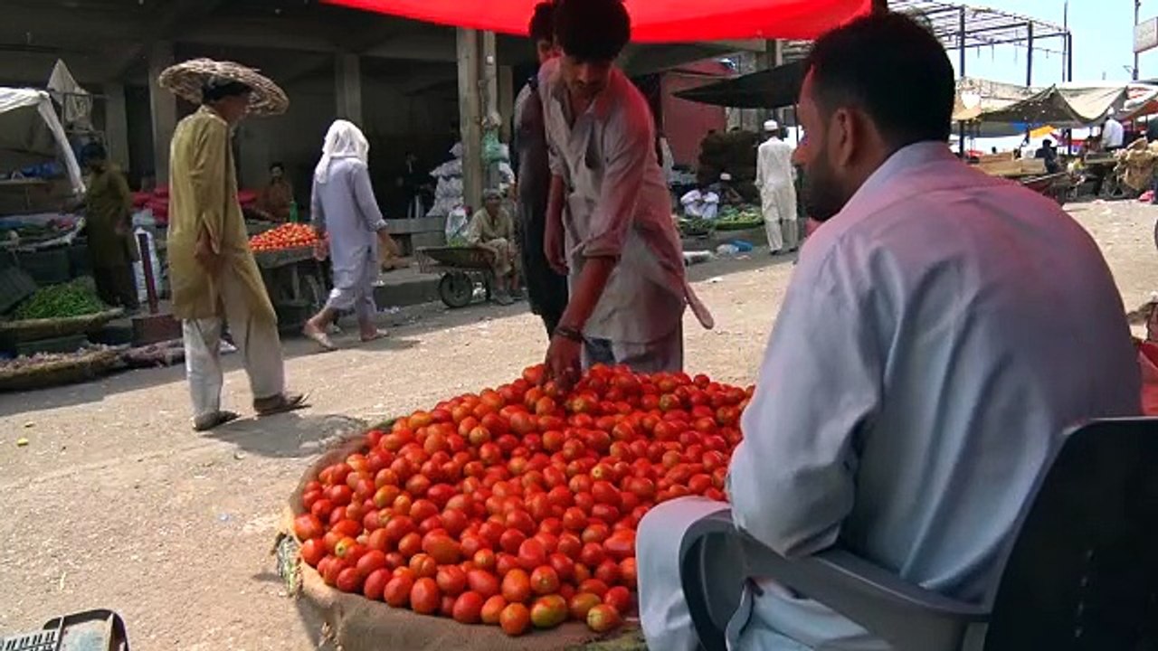 01_08_16_VEGITABLE_MARKET_BUYER2_JAMAL_FAHAD_ISB