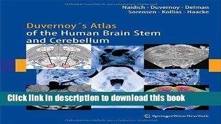 Books Duvernoy s Atlas of the Human Brain Stem and Cerebellum: High-Field MRI, Surface Anatomy,