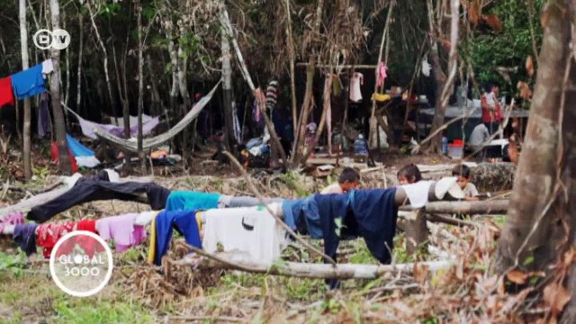Peru: Saving the Arapaima from Extinction | Global 3000