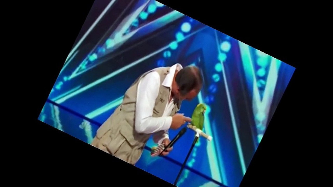 The BEST and amazing TALENT in the world  (This bird was able to speak at the microphone)