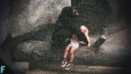 İnsanların Hayatını Kurtaran 5 İnanılmaz Hayvan