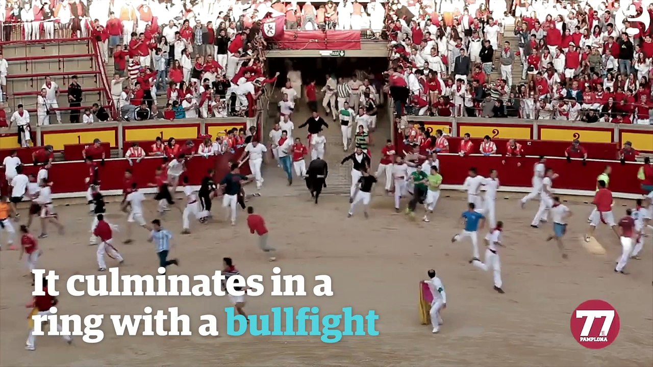 Bullfighting