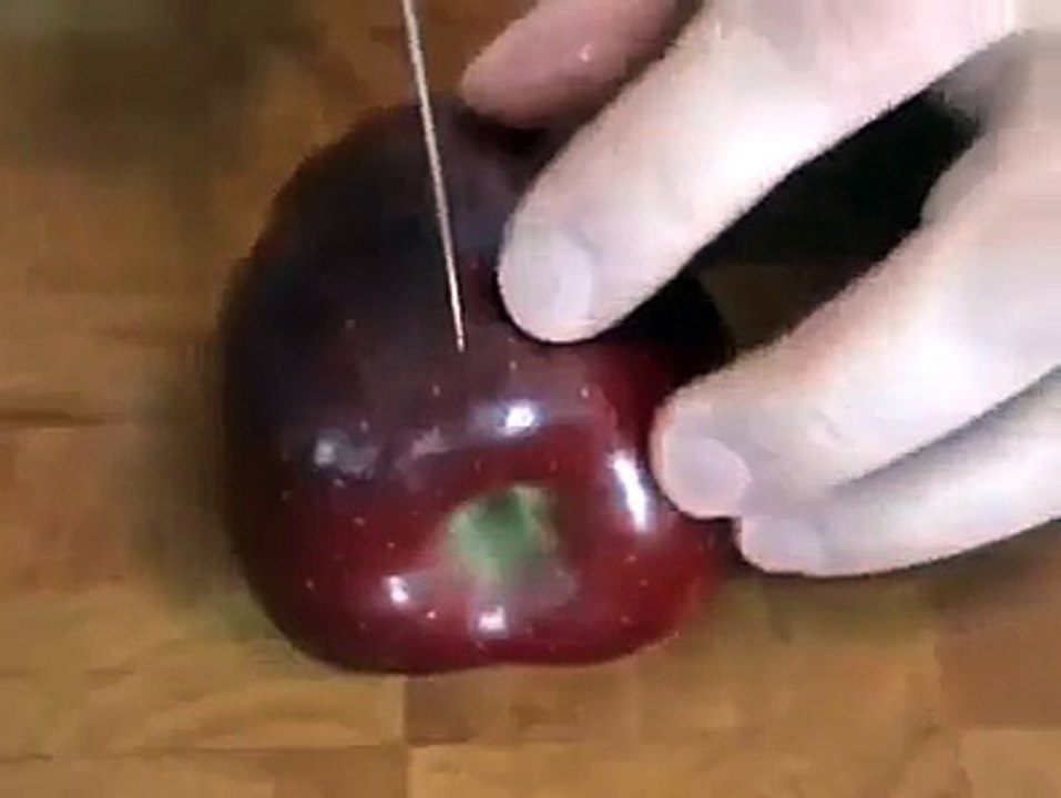 a creative mind
