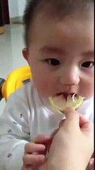 Cute Baby Eating Sour Lemon