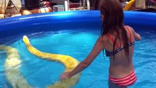 Cette fillette se baigne avec un énorme python birman avec une aisance déconcertante !