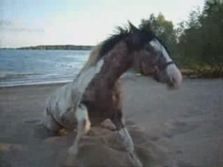 les 1er jours avec lui