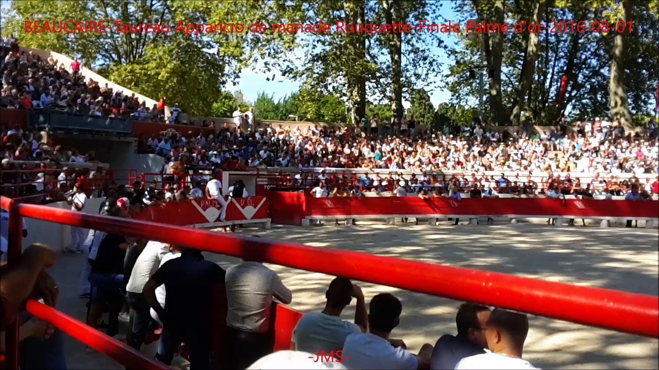 BEAUCAIRE-Taureau Apparicio de manade Rouquette-Finale Palme d'or-2016-08-01-Dailymotion