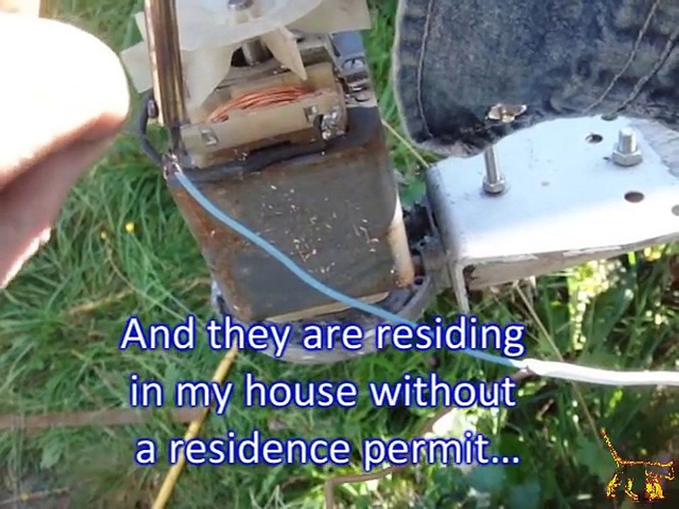 Une machine pour tuer les guêpes par electrocution !