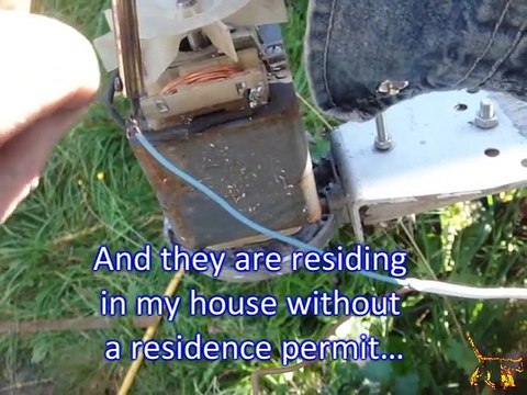 Une machine pour tuer les guêpes par electrocution !