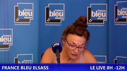 Jean Michel Obrecht: Recette de Senfgurken