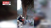 مواطن يوثق حادثة لعامل قص أشجار بالدقى