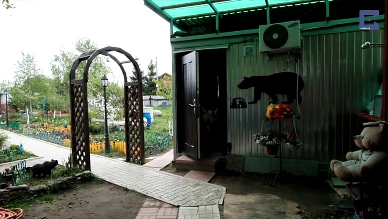 Cet ours de 23 ans pesant 140 kg, a un quotidien particulier avec cette famille Russe depuis ses 3 mois !