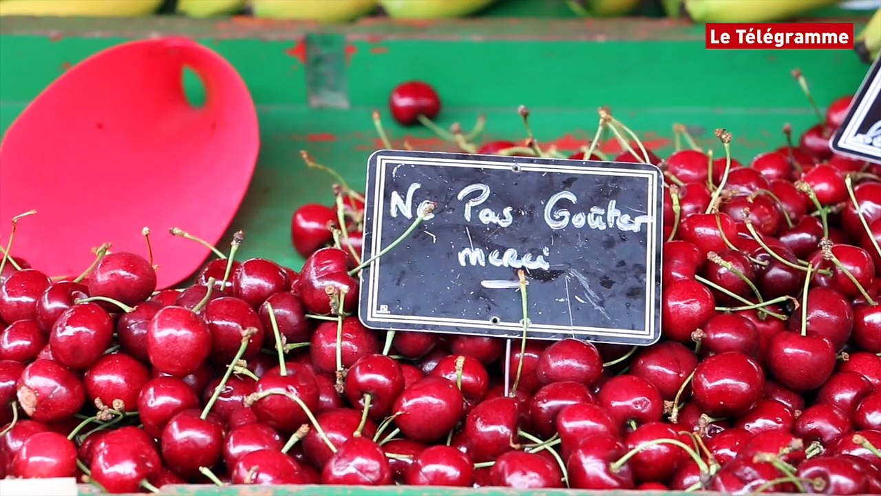 Paimpol. Les petites curiosités du marché sous la pluie