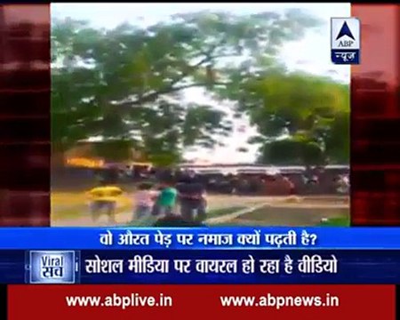 Prayer Tree Branch In India Showing The Woman Whom They Do Not Climb Trees