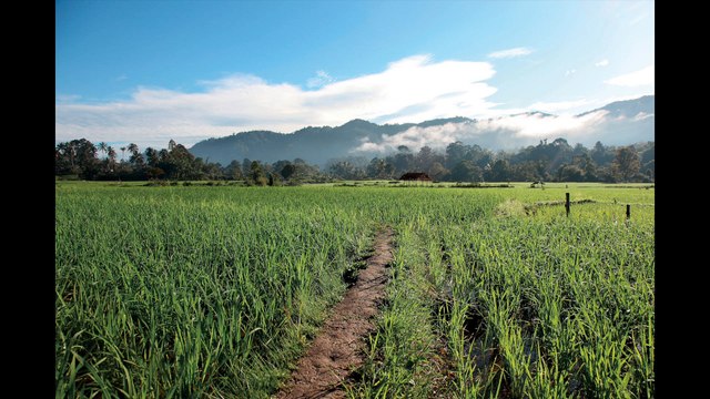 Voyage en terre indigène- les Kalassans Batak en Indonésie.