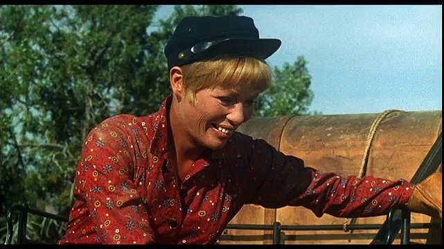 ☆ Western ☆ Les Fusils du Far-West ☆ By Skutnik Michel