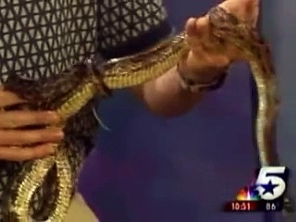 Dallas Funny News - Lizard Jumps on News Guy