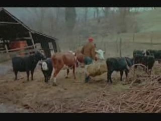 David Allan Coe - Old man tell me.