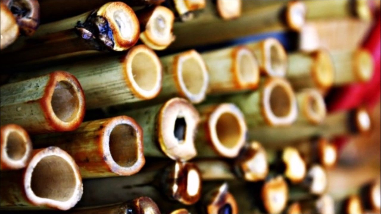 Bamboo Cracking Sound Effect