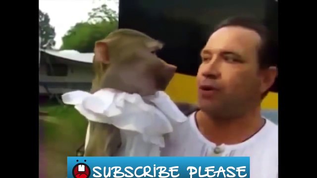 FUNNY Animals Talking & Screaming Like Humans! Yelling Dogs Cats and Animal COMPILATION!