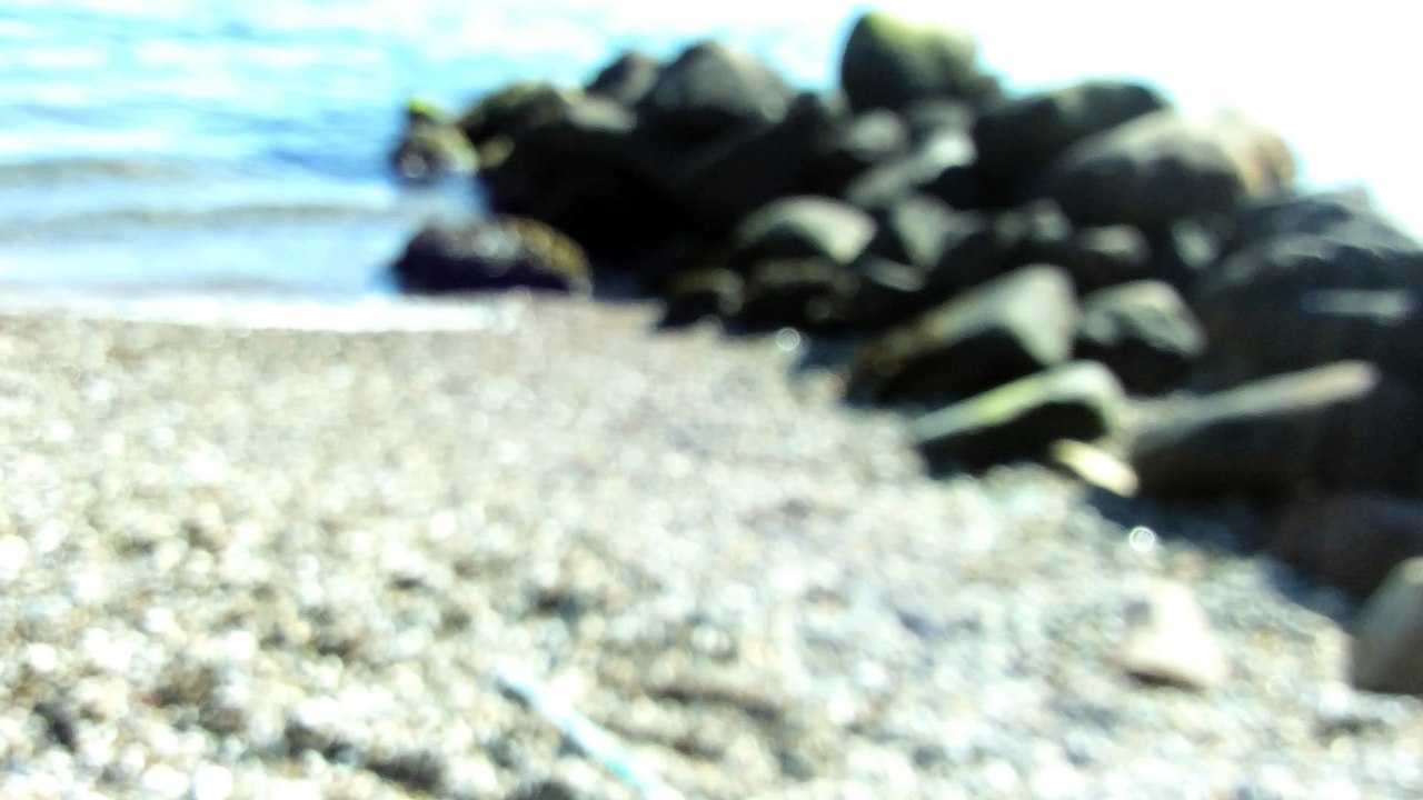 Day at the Beach!!