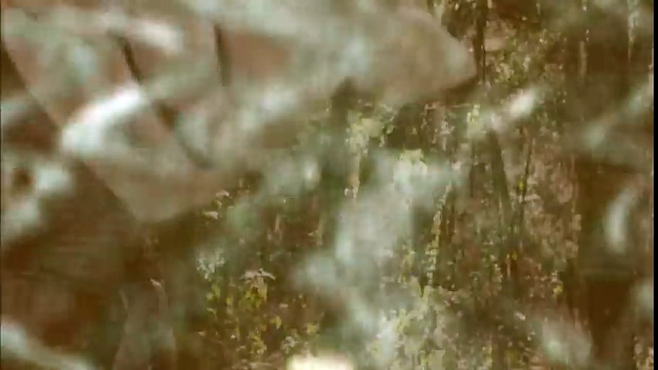 The Wyatt Family's WWE Debut