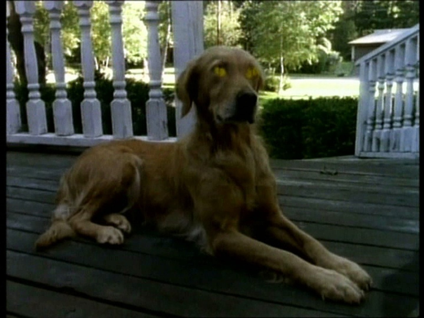 Chair De Poule La Maison Des Morts Partie 1 Video Dailymotion