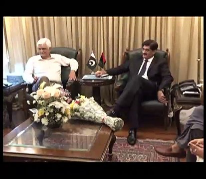 PPP SENATORS MEETS SINDH CM SYED MURAD ALI SHAH