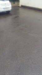 Jolie petite minette affamée perdue dans la rue