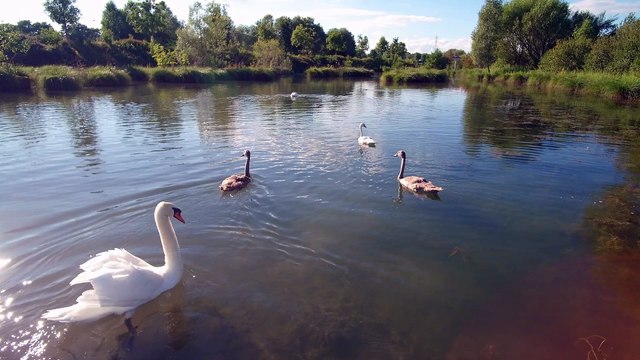 Port de Plaisance de Niffer produit par Grégory Bébasse filmé avec le drone Yuneec Typhoon H Montage Magix Fastcut