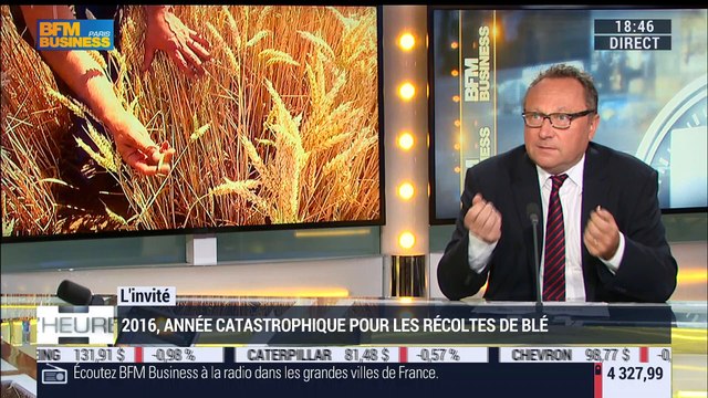 Michel Portier commente les récoltes de blé qui s'annoncent comme les plus catastrophiques depuis la Seconde guerre mondiale - 02/08