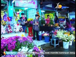 FTV Mengejar Cinta Petani Bunga Part 6