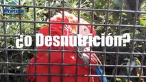 Vea por qué se están muriendo los animales en los zoológicos de Venezuela