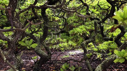 5 Uninhabited Islands with Dark & Mysterious Histories