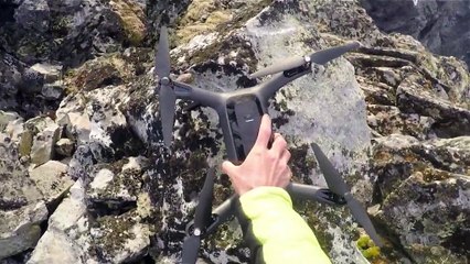 Trail Running An Insanely