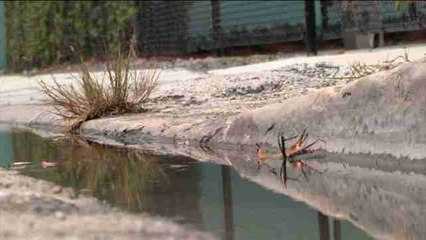 Miami, "zona cero" en EE.UU. de la lucha contra el virus del Zika