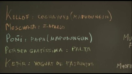 Cocina y ciencia se fusionan para mejorar la salud de los chilenos