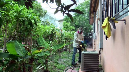 Autoridades pedem que se evite área de Miami com zika