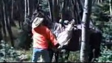 Angry Horse Kicks Some Guy in the Face