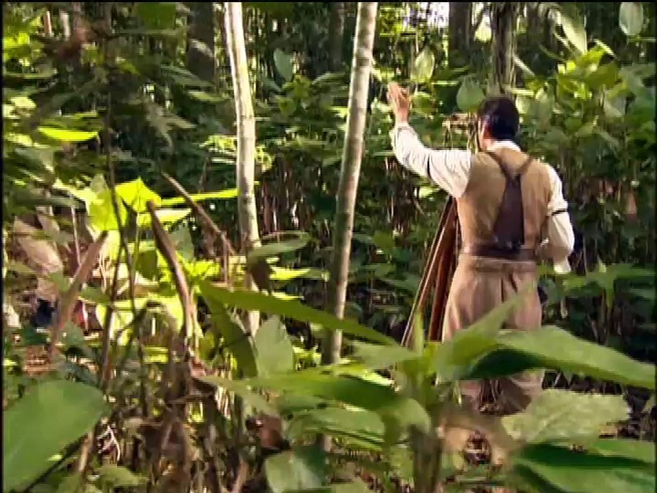 DVD 7- Amazônia, de Galvez a Chico Mendes - Delzuite (Parte 2)