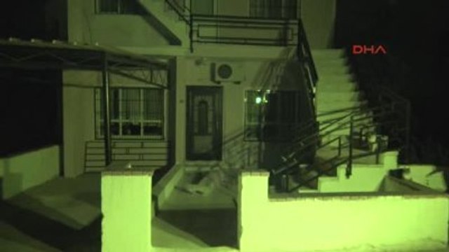 Marmaris'te Ölen İngiliz Kadının Beslediği Kedileri Başından Ayrılmadı