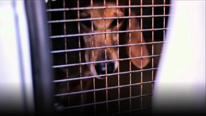 Meme apres autant d'année, c'est toujours vrai!