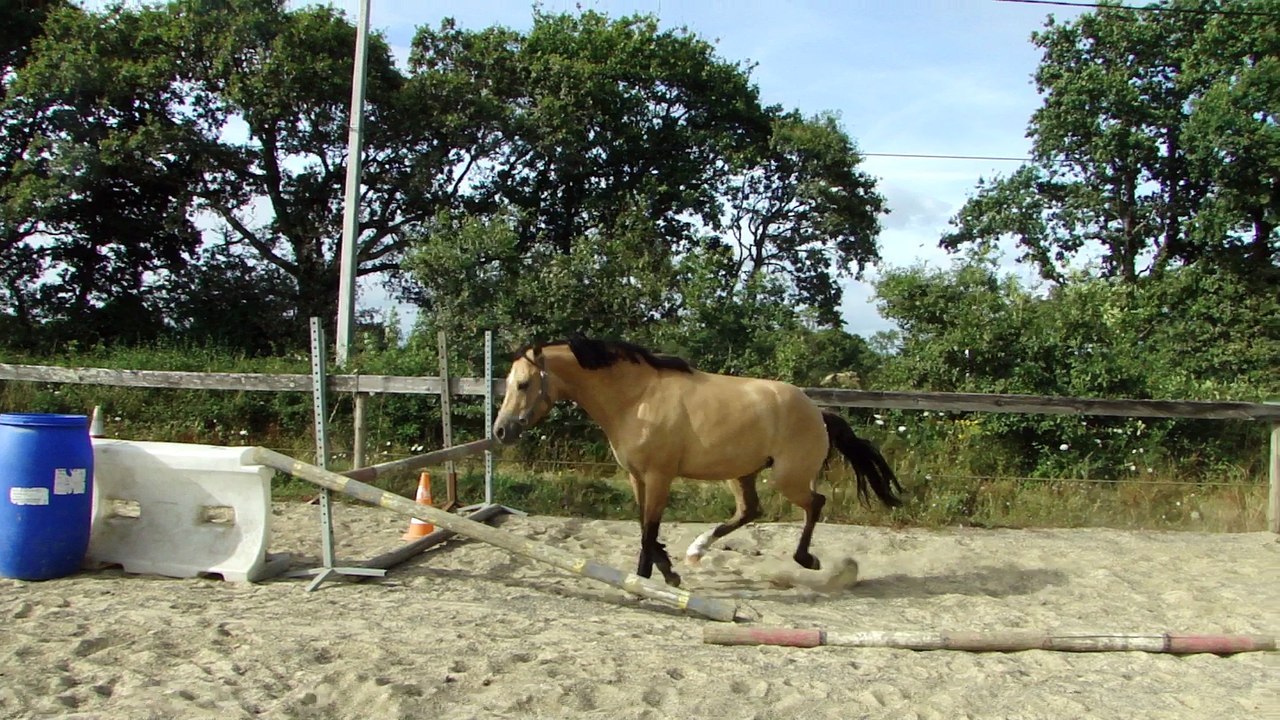 Castella, saut en liberté et bêtises
