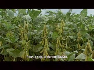 Le marché de la faim - Ext 1