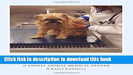 Ebook Angell at 100: A Century of Compassionate Care for Animals and Their Families at Angell