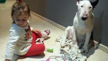 Una bimba di due anni gioca al dottore con il suo cane
