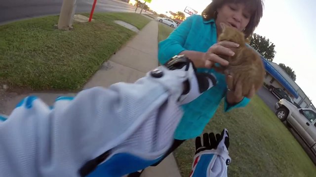 Ce motard sauve un chaton coincé au milieu de la route