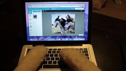 Mishka the Husky gets a Valentine and something funny happens... !